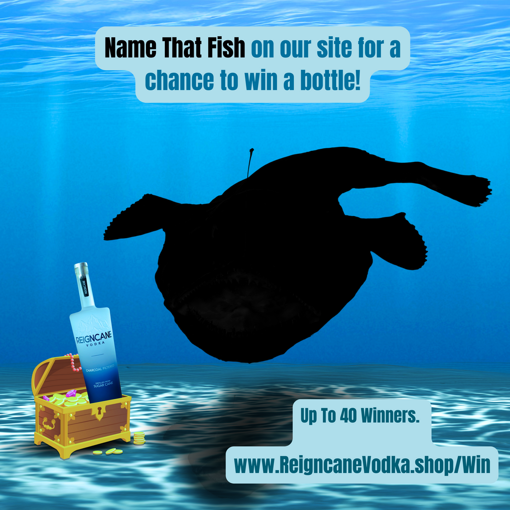 Name That Fish & Win A Free Bottle!