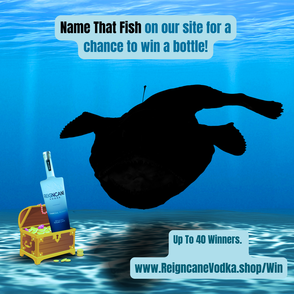 Name That Fish & Win A Free Bottle! – BWLS