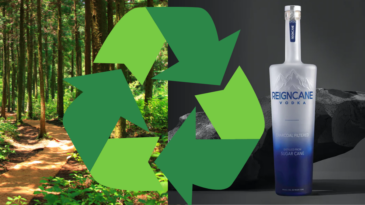 The Truth About Vodka Bottles Are They Recyclable? BWLS
