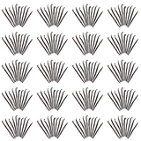 Organic Vanilla Beans